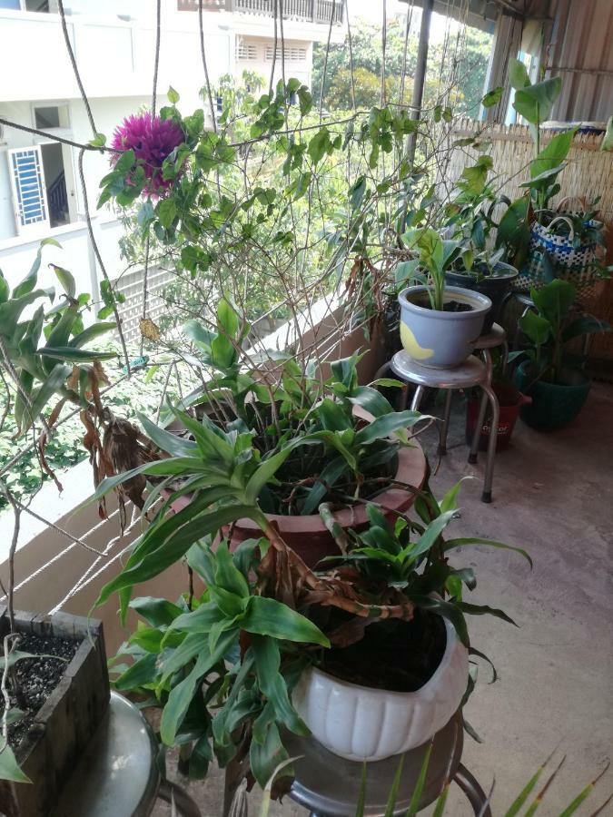 Stay In Kampot Εξωτερικό φωτογραφία